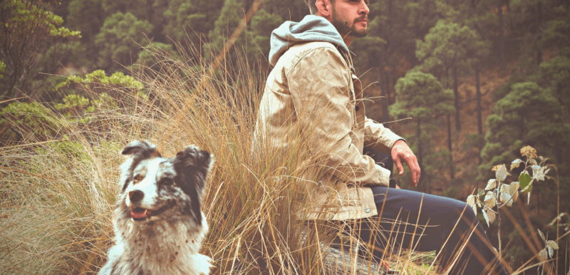 Australian Shepherd - Hiking