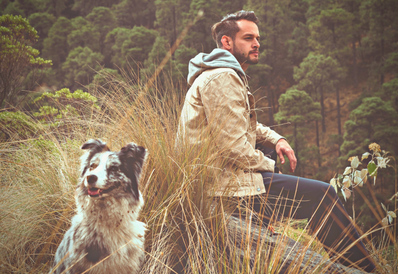 Australian Shepherd - Hiking