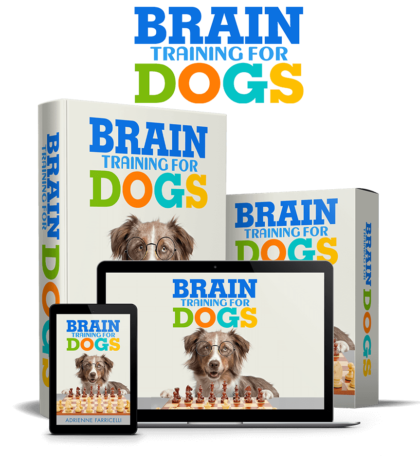 brain training for dogs by Adrienne Farricelli