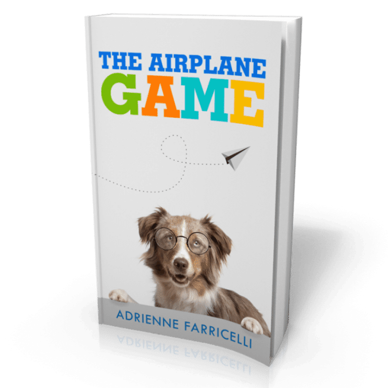 The Airplane Game